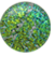 Blue/Green/Gold Blue/Green/Gold